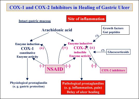 cox inhibitors